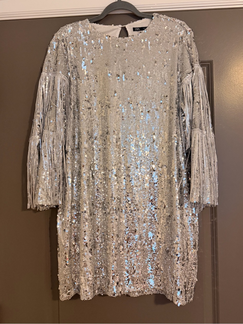 Zara Silver Sequin Fringe Mini Dress